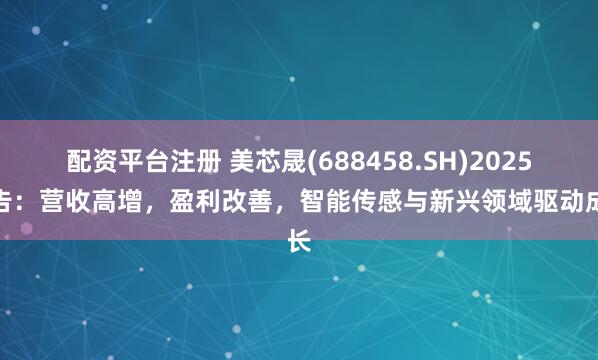 配资平台注册 美芯晟(688458.SH)2025预告：营收高增，盈利改善，智能传感与新兴领域驱动成长