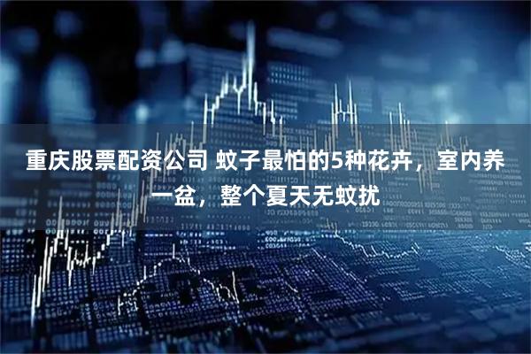重庆股票配资公司 蚊子最怕的5种花卉，室内养一盆，整个夏天无蚊扰